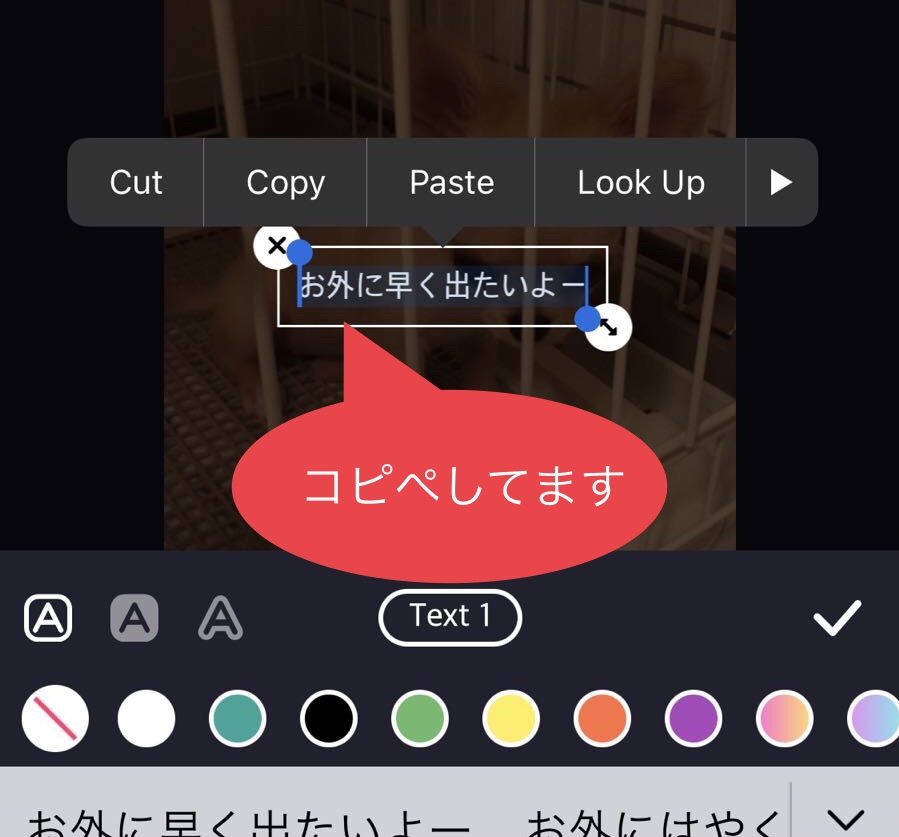 vskitの動画投稿時のテロップは翻訳アプリを使って英語で投稿
